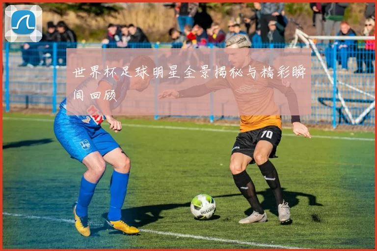 世界杯足球明星全景揭秘与精彩瞬间回顾