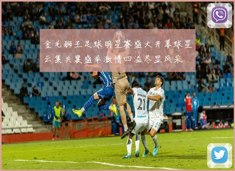金毛狮王足球明星赛盛大开幕球星云集共襄盛举激情四溢尽显风采