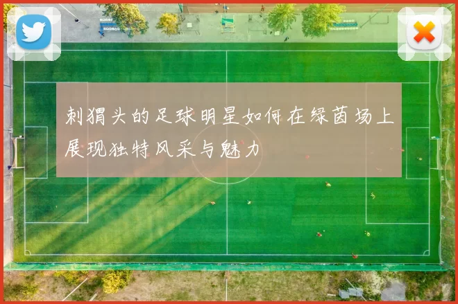 刺猬头的足球明星如何在绿茵场上展现独特风采与魅力