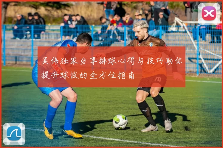 吴伟独家分享排球心得与技巧助你提升球技的全方位指南