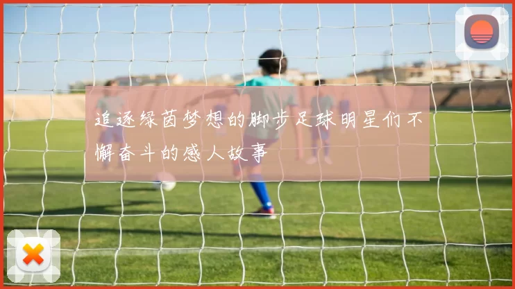 追逐绿茵梦想的脚步足球明星们不懈奋斗的感人故事