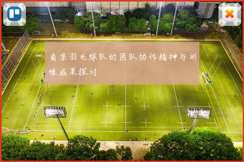 南京羽毛球队的团队协作精神与训练成果探讨