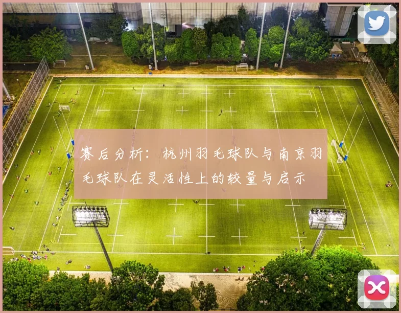 赛后分析：杭州羽毛球队与南京羽毛球队在灵活性上的较量与启示