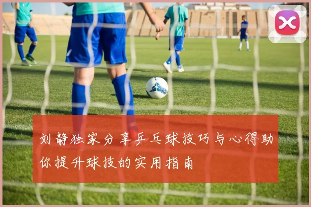 刘静独家分享乒乓球技巧与心得助你提升球技的实用指南