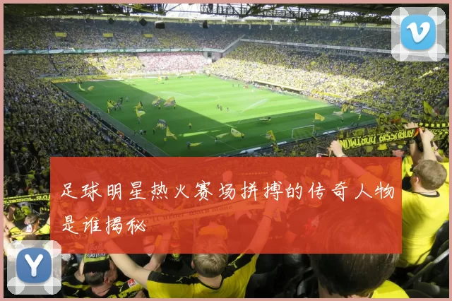 足球明星热火赛场拼搏的传奇人物是谁揭秘