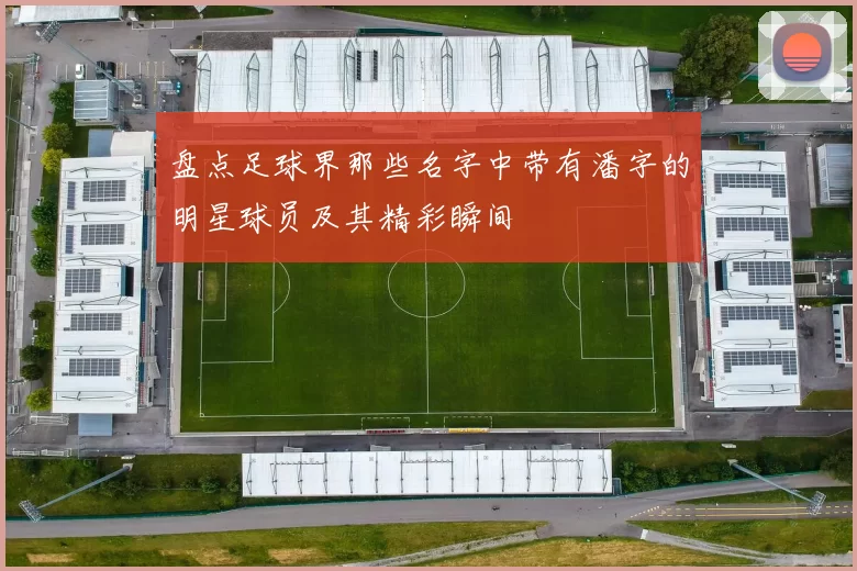 盘点足球界那些名字中带有潘字的明星球员及其精彩瞬间