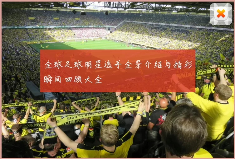全球足球明星选手全景介绍与精彩瞬间回顾大全