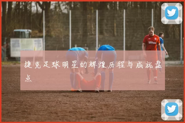 捷克足球明星的辉煌历程与成就盘点